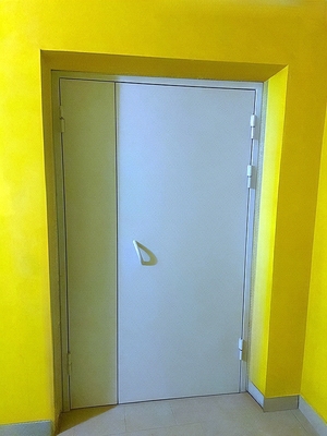Глухая полуторная дверь